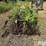 john-deere-3-section-rotary-hoe-image-4