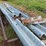 guardrail-sections-image-13