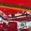 sdlanch-ssbca1000-skid-steer-brush-cutter-attachment-image-7