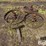 steel-wagon-wheels-image-8
