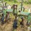 john-deere-er008-6r30"-crop-cultivator-image-10