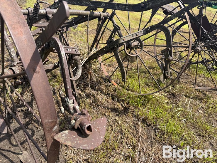 horse-drawn-cultivator-image-13