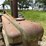 1951-john-deere-b-image-13