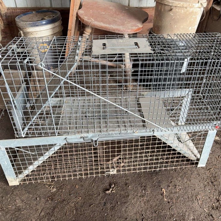 (2) Galvanized Steel Live Animal Trap