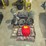#45005-•-lot-of-sporting-good-items-inv#45005-image-2