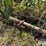 john-deere-3-section-rotary-hoe-image-13