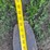 westendorf-pallet-fork-image-18