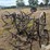 horse-drawn-cultivator-image-5