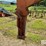 shop-built-seed/feed-tender-image-9