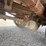 1997-mack-ms200p-dump-truck-image-15