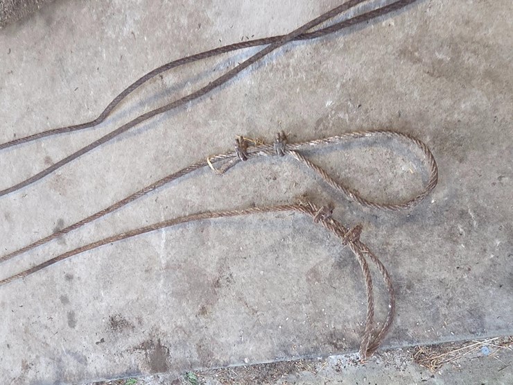 cables-image-10