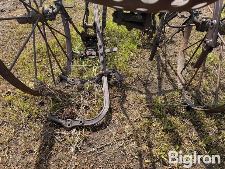 horse-drawn-cultivator-image-16