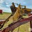 new-holland-1033-image-15