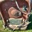 lincoln-ideal-arc-180-stick-welder---220-volt-image-8