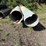 misc-length-18"-metal-culverts-image-1