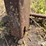 loader-bucket-adapter-image-14