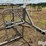 atv-mounted-safety-calf-catch-image-15