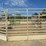 portable-livestock-auction-ring-7125-image-1