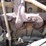 2009-deere-310sj-image-46
