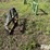 tri-l-loader-bale-spear-image-4