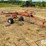 kuhn-ga300-image-3