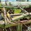 john-deere-1630-image-13