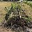 john-deere-3-section-rotary-hoe-image-8