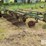 john-deere-2-image-3