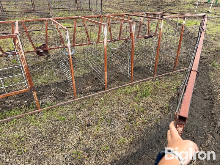 calf-feeding-stalls-image-9