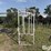 livestock-fitting-chute-image-2