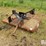 hi-co-500-5'-rotary-mower-image-1