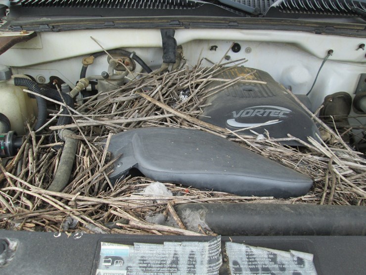2006-chevrolet-2500hd-image-18