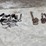 pipe-wrench-&-misc.-sockets-image-4