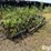 john-deere-3-section-rotary-hoe-image-3