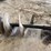18in-auger-bit-image-2