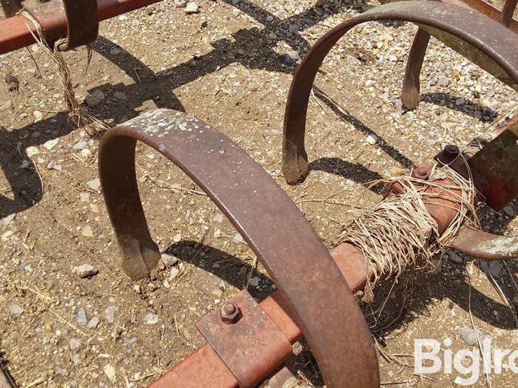 12'-spring-tooth-harrow-image-15