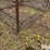 small-livestock-pens-image-9