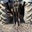 landini-85f-image-9