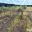 deer-stand-image-4