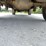 2013-ford-f250-image-24