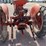 1951-j.i-case-tractor-image-9