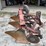 case-ih-3-image-2