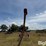 peck-1004-image-6