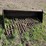 universal-attach-6'-manure-bucket-image-2