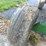 parker-gravity-wagon-w/-john-deere-gear-image-18