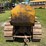 caterpillar-d2-image-4