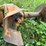 3-pt-hitch-auger-drive-image-6