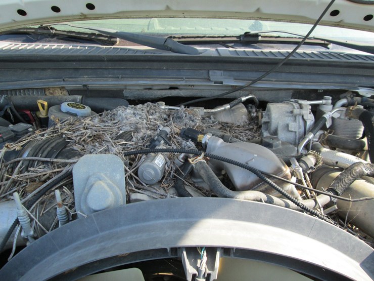2008-ford-f350-image-18
