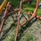 1-3pt-cherry-picker-hoist-image-2