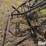 horse-drawn-cultivator-image-15